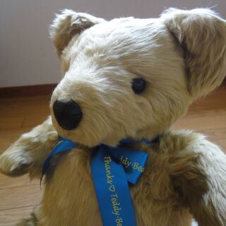 可愛いTeddy　Bear　ぬいぐるみ（美品）
