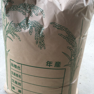 米　令和元年　コシヒカリ　玄米　30kg