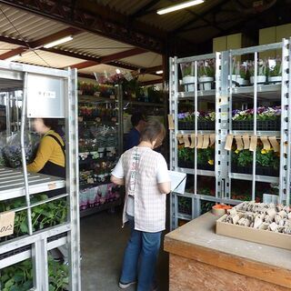 アルバイト急募！　花のシール貼り・仕分け作業！　構内作業員アルバイト急募！　お花に囲まれてお仕事しませんか？の画像