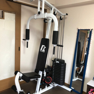 ホームジム EX70 ファイティングロード 筋トレ マシン