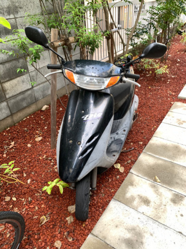 ホンダ　ライブディオ AF34 実働車