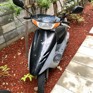 ホンダ　ライブディオ AF34 実働車