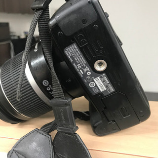 一眼カメラの画像