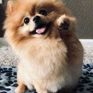 楽しいグルチャ作り😃