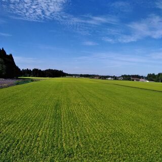 急募!軽トラックでのお米の運搬作業員 1名募集