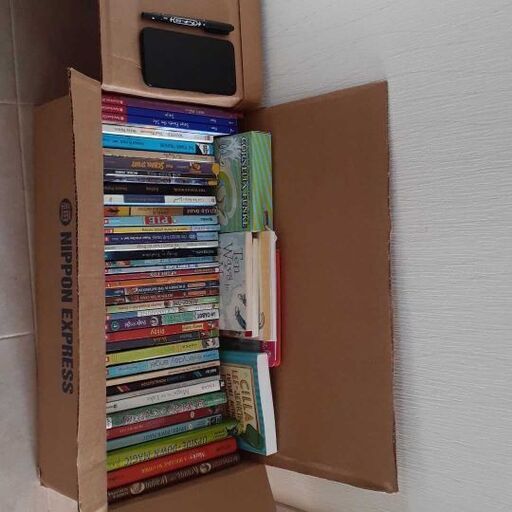 小学3～6年向け　チャプターブック50冊セット☆50 Chapter books(GRADE3-6)