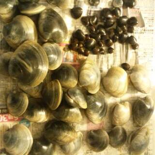 自然遊び未初級者のための基本技術、安全講習♪　 の画像