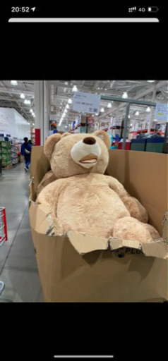 コストコ クマ 236cm 要相談