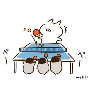 卓球しませんか？🙋‍♀️