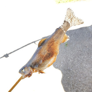初心者ですが釣りに行きたいです！