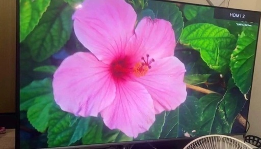 Tv い合わせください