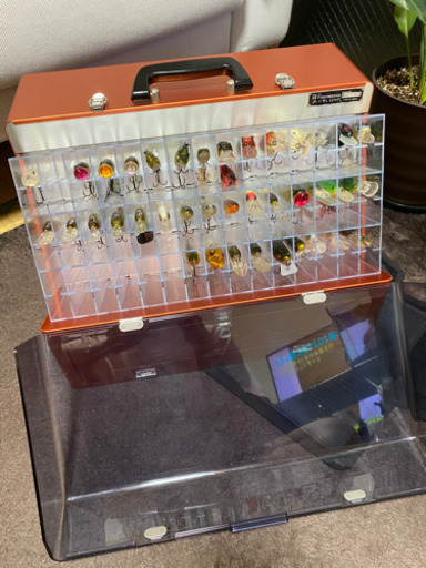 メガバス　アサイラム　まとめ売り