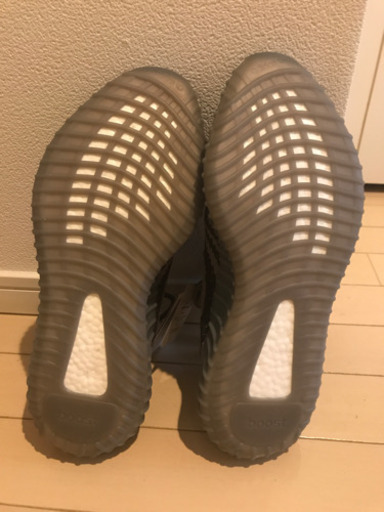 adidas Yeezy Boost 350v2 Beluga