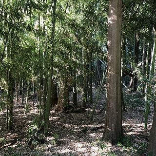 【成約済】山林物件　茨城県猿島郡