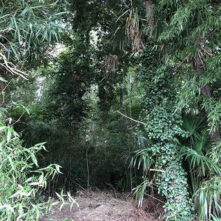 【成約済】山林物件　茨城県猿島郡③ − 茨城県