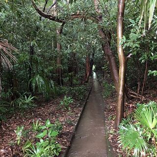 【成約済】山林物件　茨城県猿島郡境町① - 土地販売/土地売買