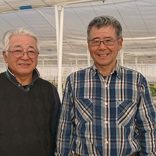 【週5日勤務/柏市】★急募★11月オープン！/ビニールハウス農園で働く障がいのある方をそばで見守るお仕事の画像