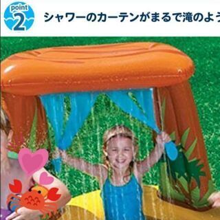 自宅プールの画像