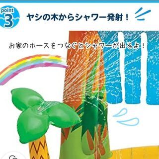 自宅プールの画像