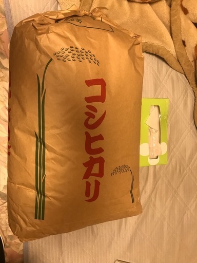 収穫仕立て　千葉県八街産　コシヒカリ30kg