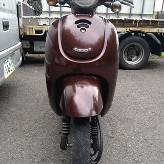 ホンダ4サイクルジョルノの画像