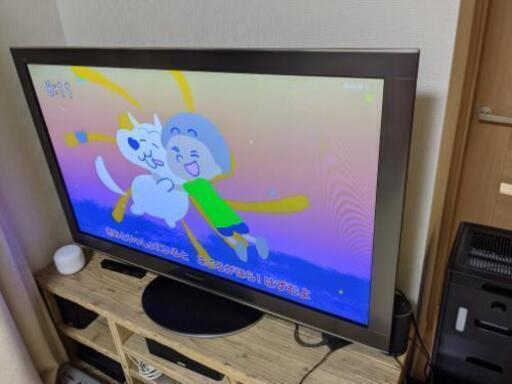 Panasonic TH-P50V2 2010年購入