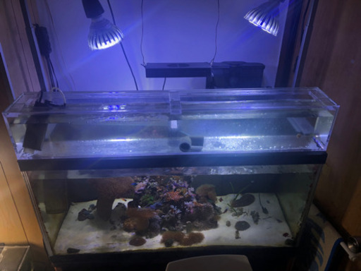 リフジウム水槽