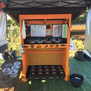 里山公園前 里山めだか 無人販売所 9/9