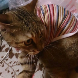 たまにランチしたりetc^ ^（同性さん※←