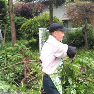 急募、(^_^)造園、土木日払い可、年配の方大歓迎