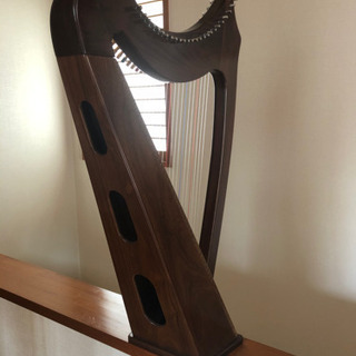 青山サウルハープ（25S）の画像