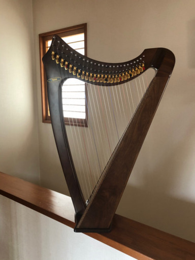 青山サウルハープ（25S）