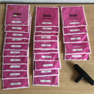 青山サウルハープ（25S）の画像