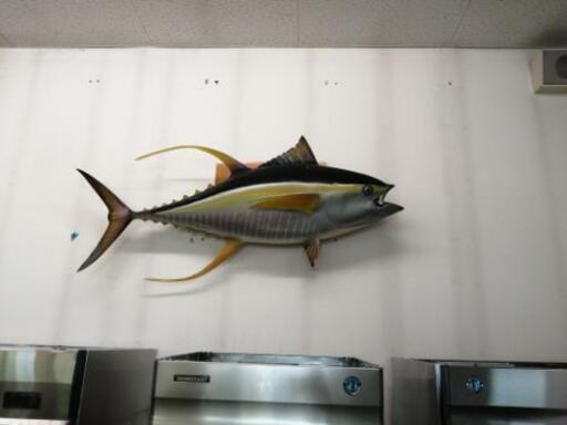 ＼面白アイテム／　ビッグサイズ 「カジキマグロ」を店頭に飾りませんか？　店頭に飾っているとインスタスポットになるかもしれませんよ！