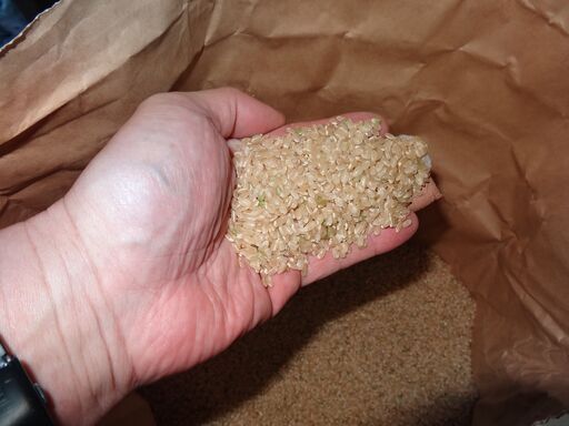 阿蘇産 新米（コシヒカリ）お売りいたします。