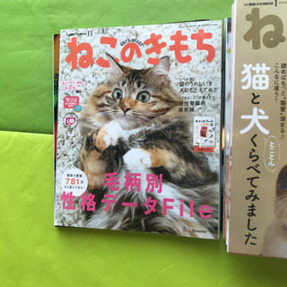 ねこのきもち　猫のきもち　まとめ売り26冊
