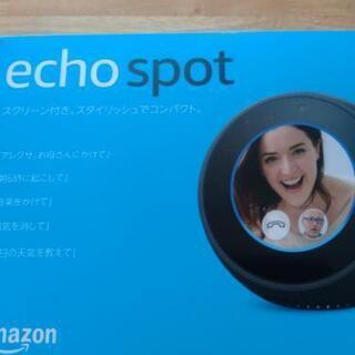 echo spot