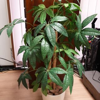 人工観葉植物　パキラ？　高さ９０㎝程度