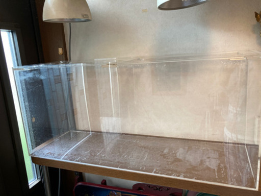 ⭐️中古アクリル特注水槽⭐️9／30まで募集