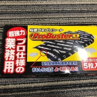 粘着ゴキブリシート差し上げます！