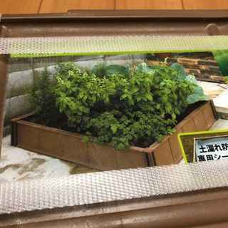 【新品】園芸資材　土のない所で家庭菜園　菜園ランドの画像
