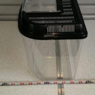 昆虫ケース　黒色の画像