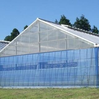 水耕栽培のハウス（３００坪）売却もしくは貸し出します。事業したい...