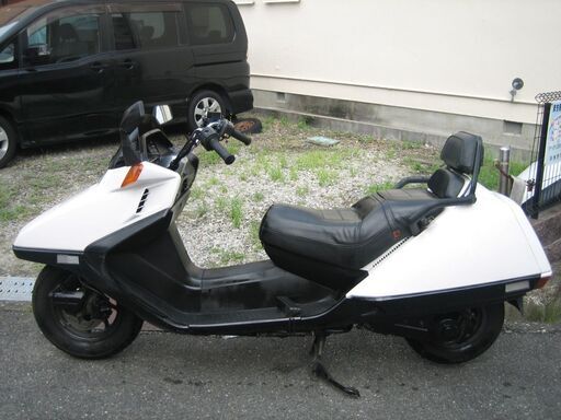 フュージョンX  超美　動画付