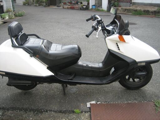 フュージョンX  超美　動画付