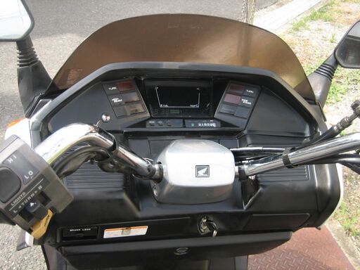 フュージョンX  超美　動画付