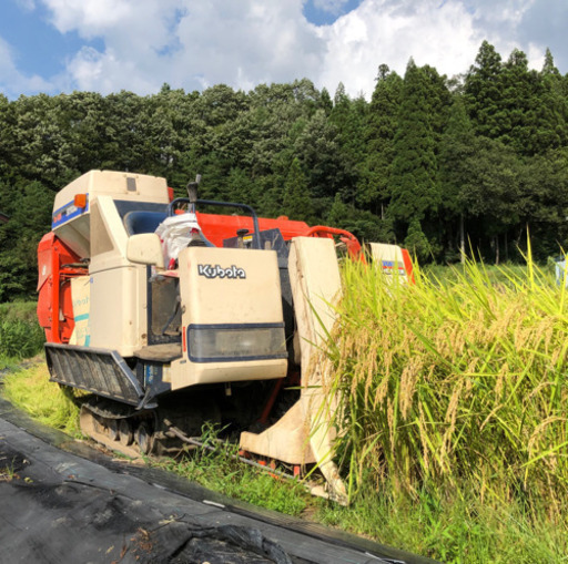 【最終】新米コシヒカリ福井県勝山市産の玄米-No.03 30kg