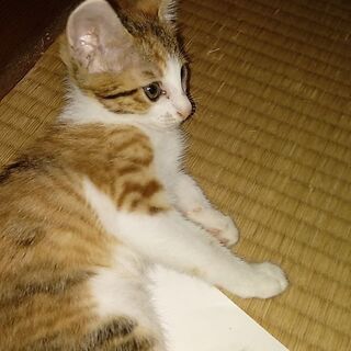 7月10日に生まれました