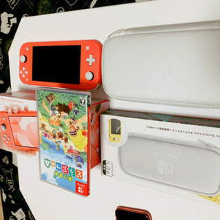 Switchライトとどうぶつの森セット
