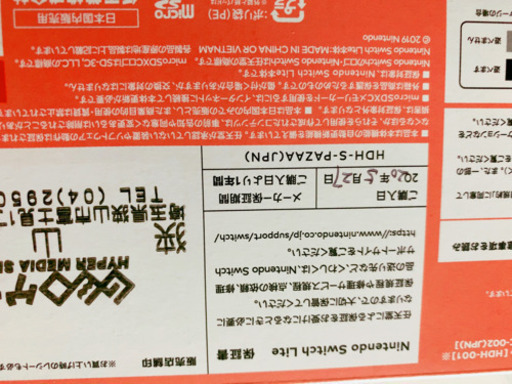 Switchライトとどうぶつの森セット